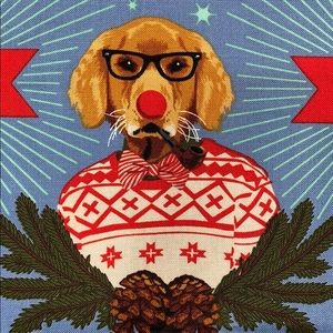 Meet your Posher, Canva